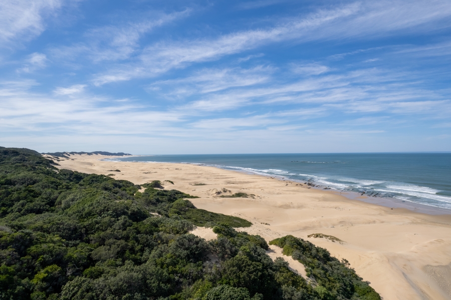 0 Bedroom Property for Sale in Forest Downs Eastern Cape